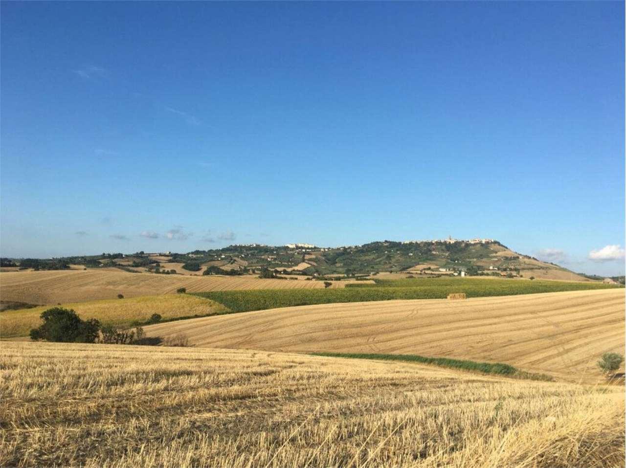 Azienda corvo