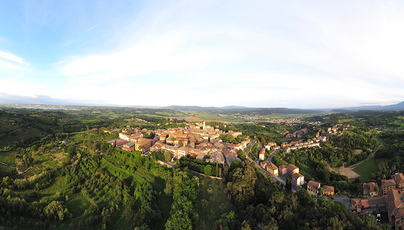Azienda Agricola Pangea