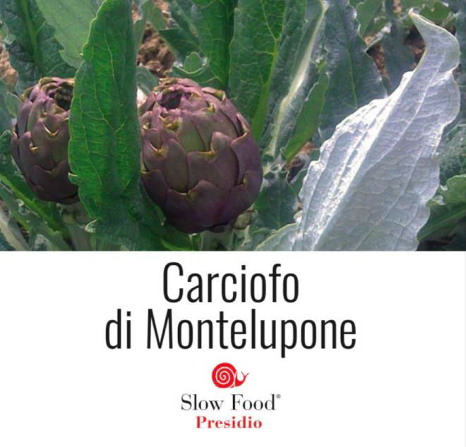 Azienda Agricola Cipriani