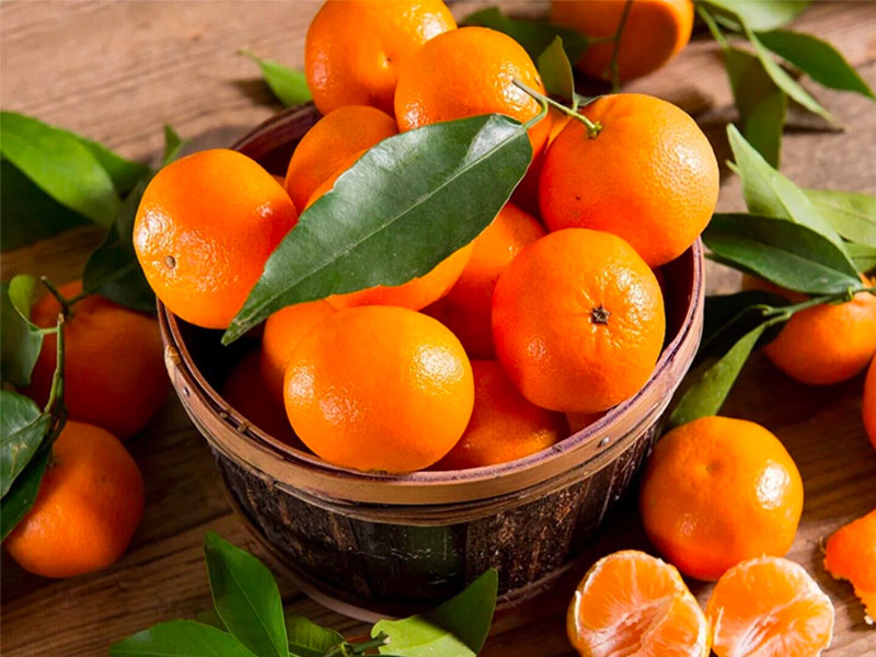 Il Mandarancio: Un Capolavoro della Natura